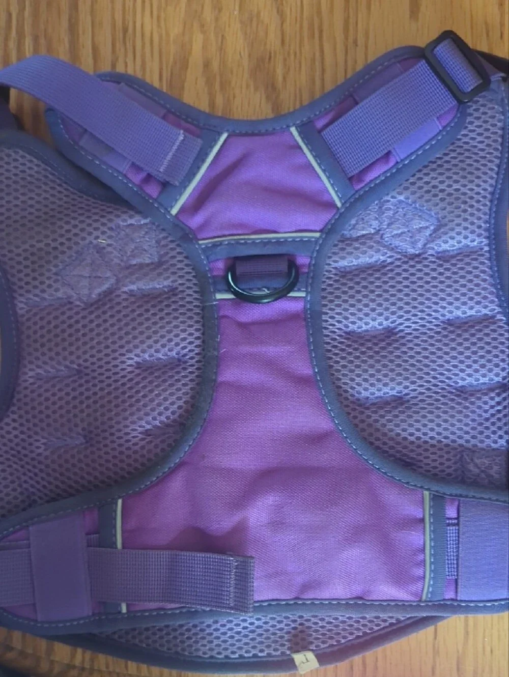 Purple Dog harness, large